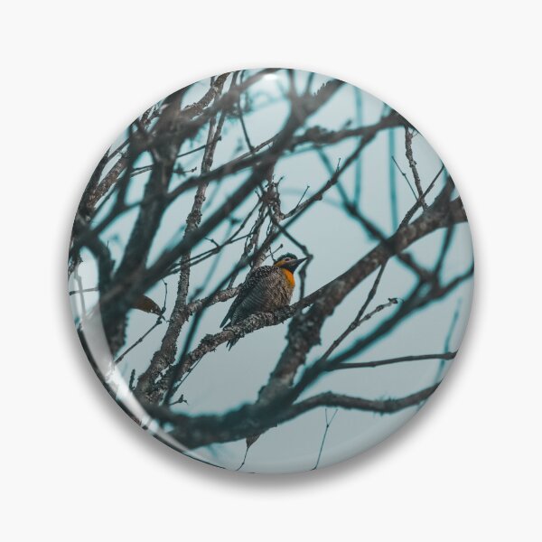 Item preview, Woodpecker designed and sold by anafrancisconi.