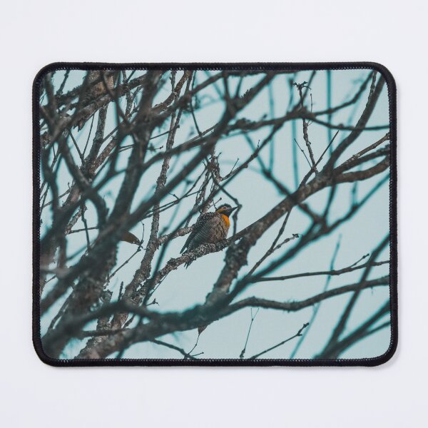 Item preview, Woodpecker designed and sold by anafrancisconi.