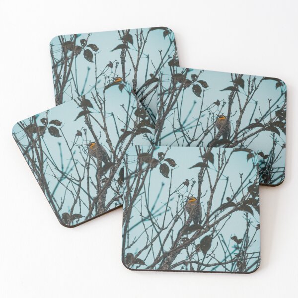 Item preview, Woodpecker designed and sold by anafrancisconi.