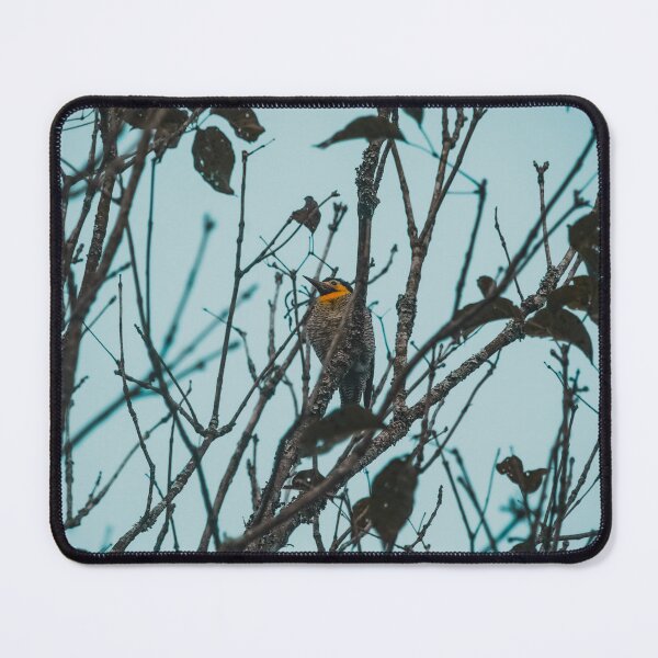 Item preview, Woodpecker designed and sold by anafrancisconi.