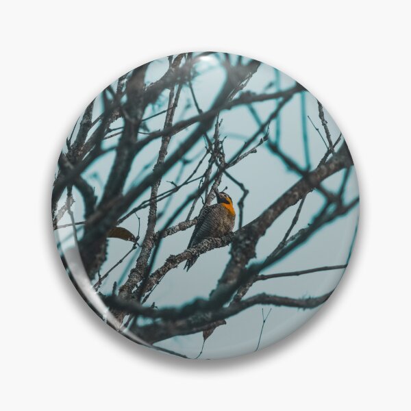 Item preview, Woodpecker designed and sold by anafrancisconi.