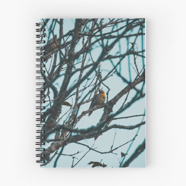 Item preview, Woodpecker designed and sold by anafrancisconi.