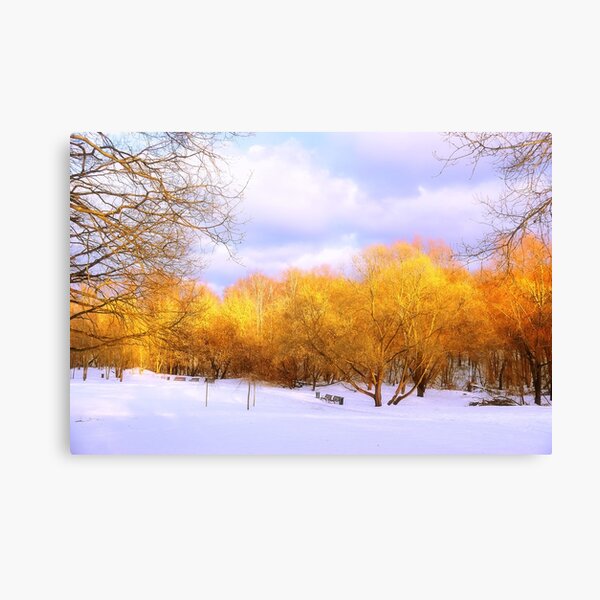 Autumn in Winter Canvas Print