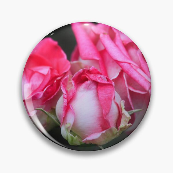 Item preview, Pink roses on black background designed and sold by olena2552.