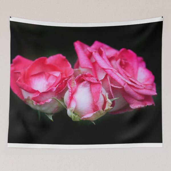 Item preview, Pink roses on black background designed and sold by olena2552.