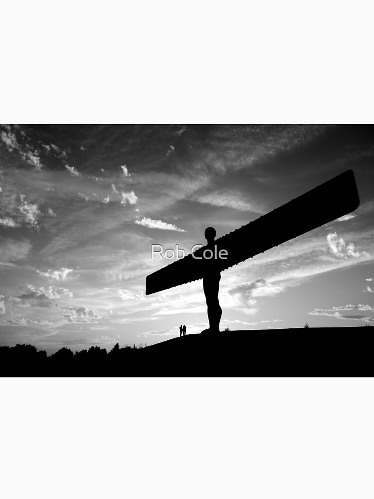 Angel Of The North, Newcastle-Gateshead by robcole