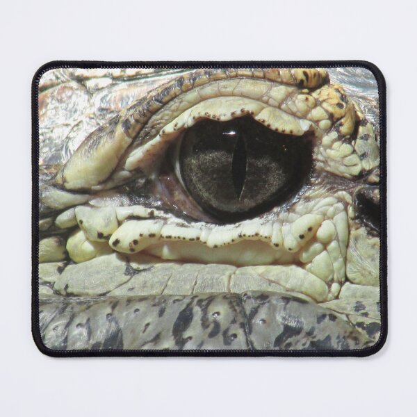 Item preview, Keeping an Eye on You designed and sold by Simple Joys Photography.