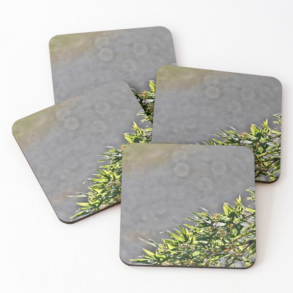 Item preview,  Bamboo Leaves Border designed and sold by athousandwordss.