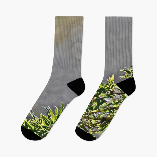 Item preview,  Bamboo Leaves Border designed and sold by athousandwordss.