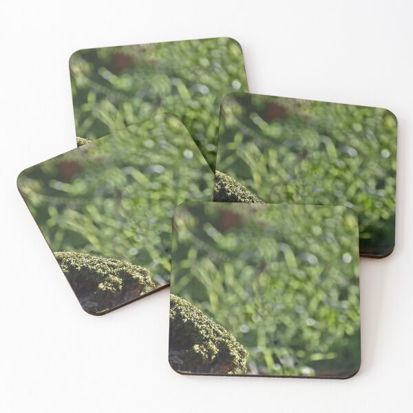 Item preview,  Mossy Stump Border designed and sold by athousandwordss.