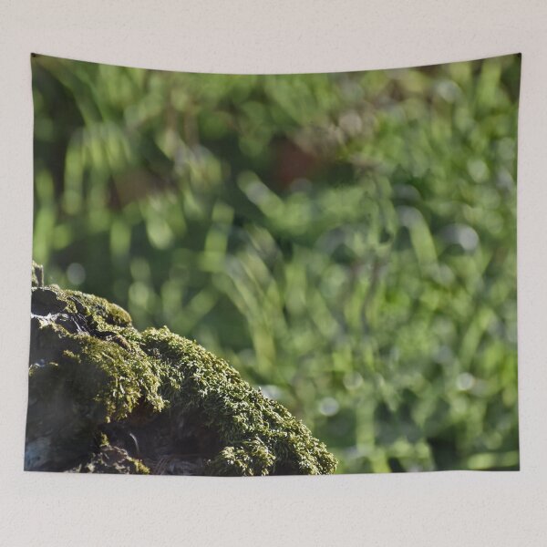 Item preview,  Mossy Stump Border designed and sold by athousandwordss.