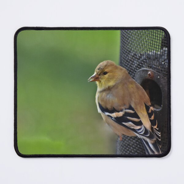 Item preview, Mother Goldfinch designed and sold by athousandwordss.