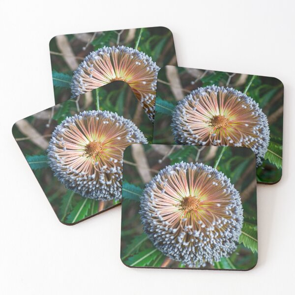Item preview, Banksia serrata Flower designed and sold by Linda Sijpkes.