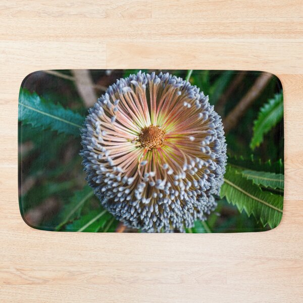Item preview, Banksia serrata Flower designed and sold by Linda Sijpkes.