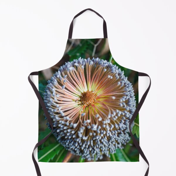 Item preview, Banksia serrata Flower designed and sold by Linda Sijpkes.