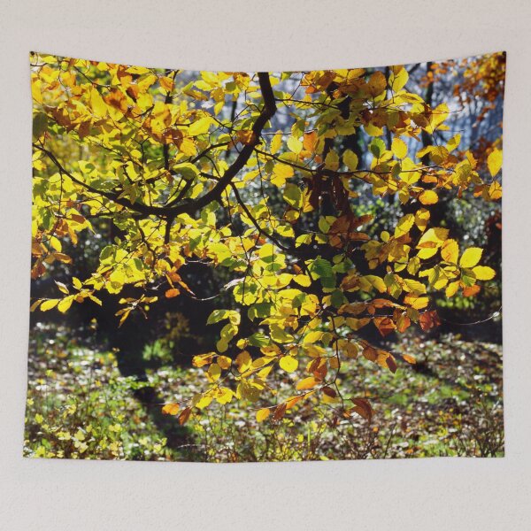 Item preview, Tree Canopy, Fall Colours, English Woods designed and sold by JonDelorme.