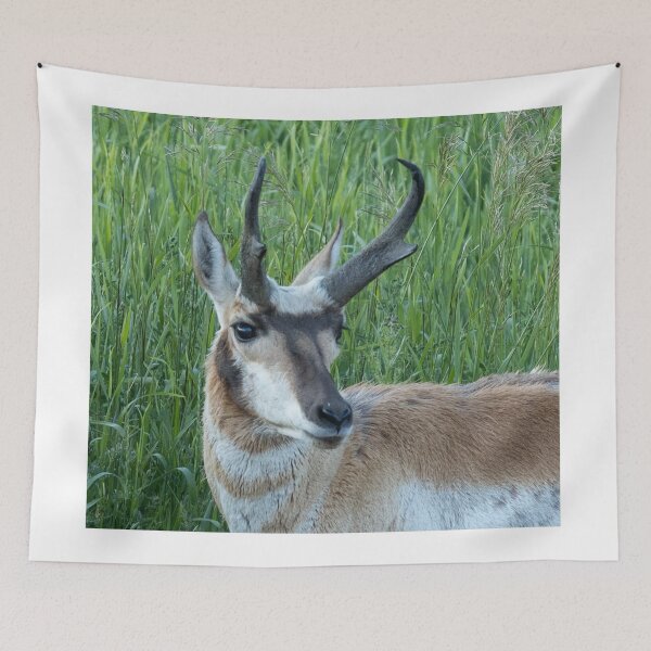 Item preview, A  Pronghorn Antelope Wildlife Animal Portrait designed and sold by FreelanceJim.
