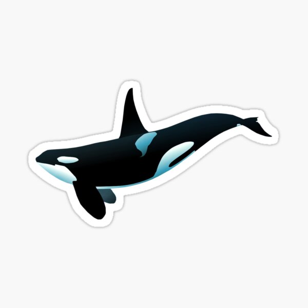Item preview, Orca Killer Whale Orcinus orca designed and sold by zoocuties.