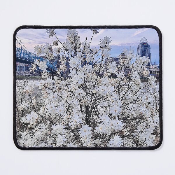 Item preview, Spring on the Riverfront designed and sold by Dr. Virginia Braden.