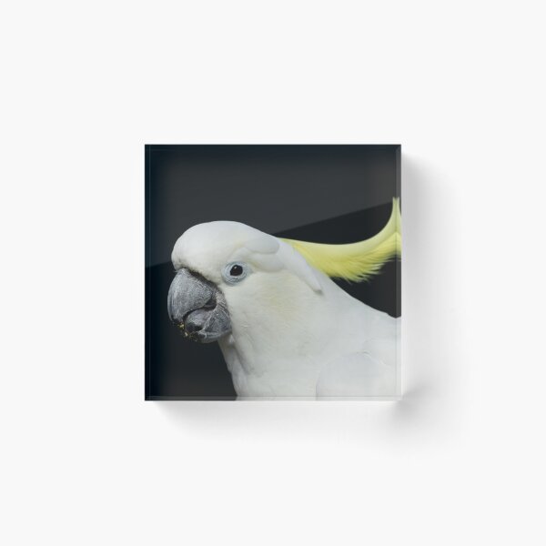 Item preview, Citron-crested cockatoo designed and sold by Michaelerch.