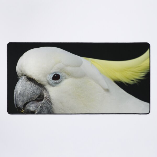 Item preview, Citron-crested cockatoo designed and sold by Michaelerch.
