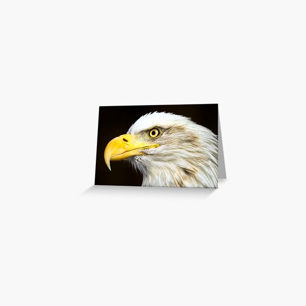 Tahoma Greeting Card