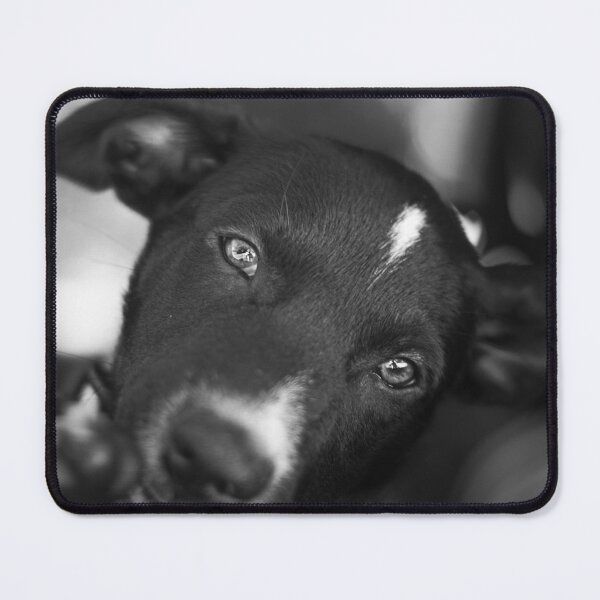 Item preview, Amor de cachorros designed and sold by GiGee.