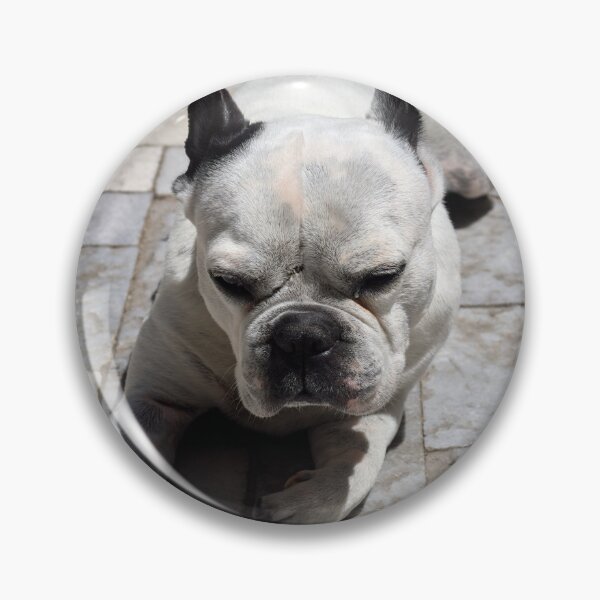 Item preview, Just one Hot dog designed and sold by Jouko Lehto Photography.