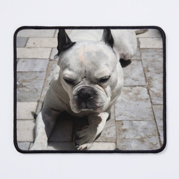 Item preview, Just one Hot dog designed and sold by Jouko Lehto Photography.