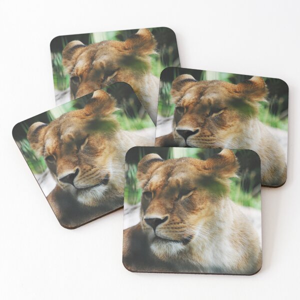 Item preview, Lioness designed and sold by PhotographAnouk.