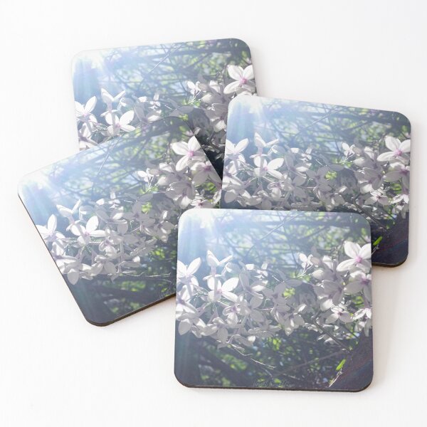 Item preview, Shine designed and sold by OnigiriSuiko.