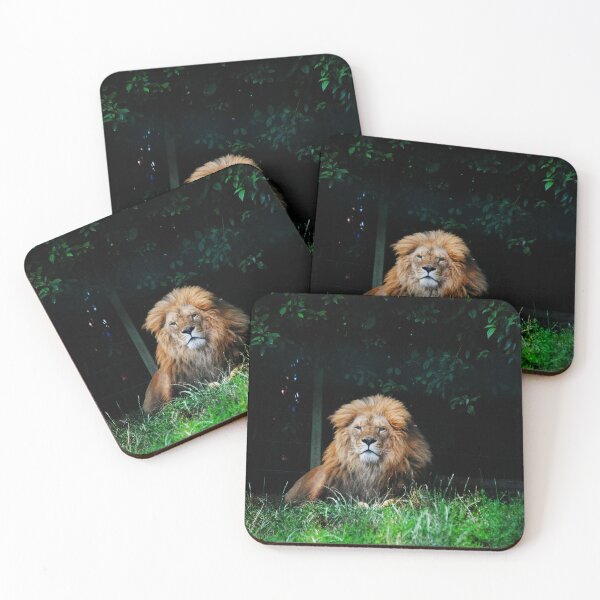 Item preview, Lion designed and sold by PhotographAnouk.