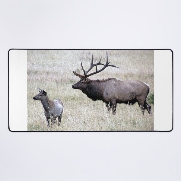 Item preview, Bull Elk and Calf designed and sold by bhagenson.