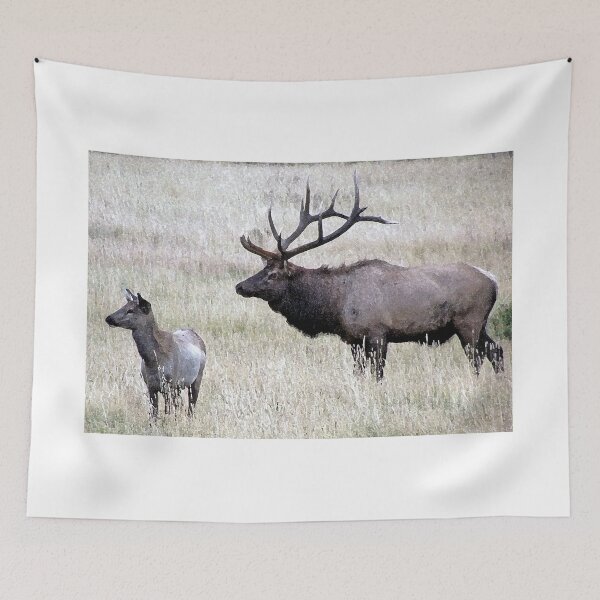 Item preview, Bull Elk and Calf designed and sold by bhagenson.