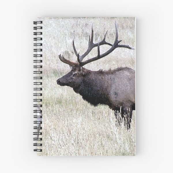 Item preview, Bull Elk and Calf designed and sold by bhagenson.