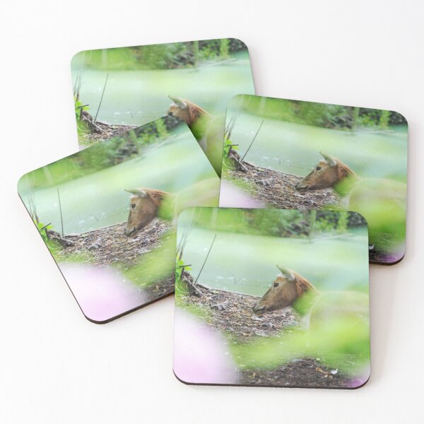 Item preview, camouflaged doe designed and sold by PhotographAnouk.