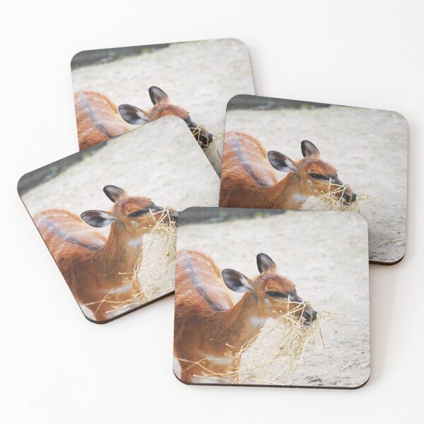 Item preview, fawn with hay designed and sold by PhotographAnouk.