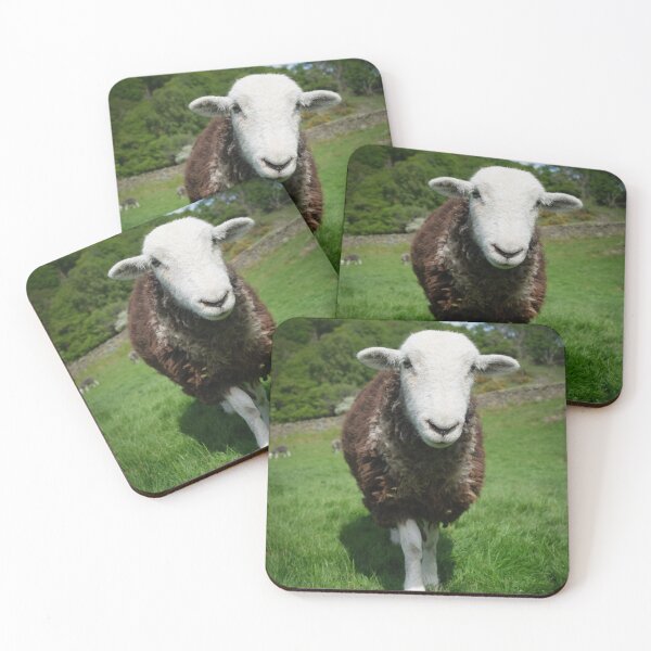 Item preview, Herdwick Sheep in a grassy field in Cumbria England designed and sold by GeoffBeattie.