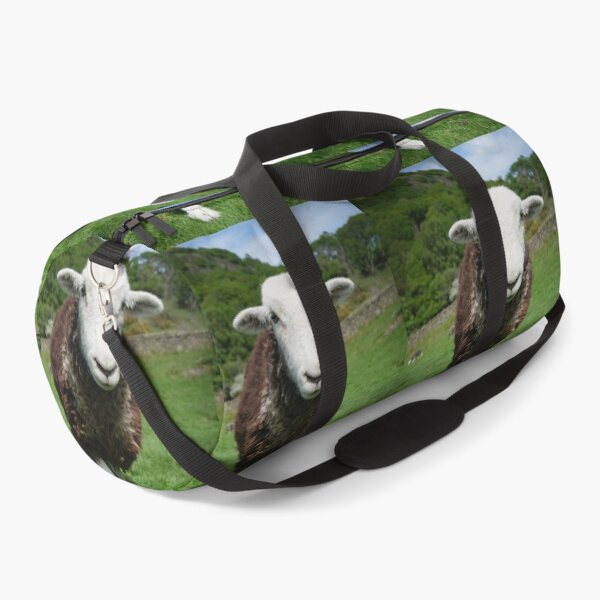 Item preview, Herdwick Sheep in a grassy field in Cumbria England designed and sold by GeoffBeattie.