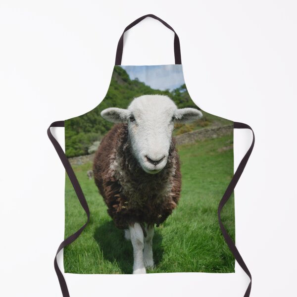Item preview, Herdwick Sheep in a grassy field in Cumbria England designed and sold by GeoffBeattie.