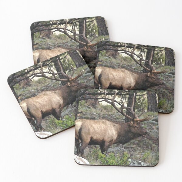 Item preview, Bull Elk designed and sold by bhagenson.