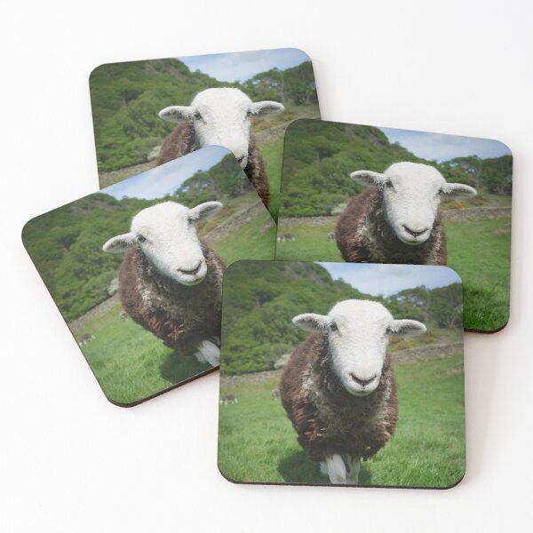 Item preview, Herdwick Sheep in a grassy field in Cumbria England designed and sold by GeoffBeattie.