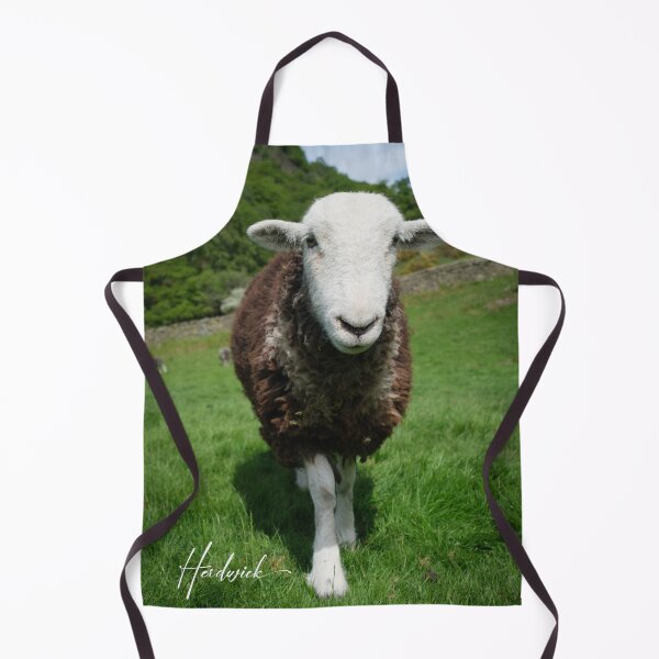 Item preview, Herdwick Sheep in a grassy field in Cumbria England designed and sold by GeoffBeattie.