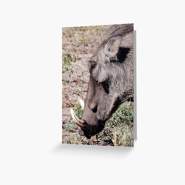 Vista previa del artículo con la obra «Warthog, Chobe National Park, Botswana, Africa», diseñado y vendido por Adrian Paul.