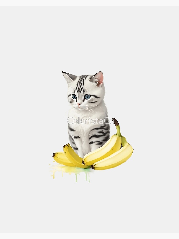 I draw the angry cat no banana meme Photographic Print for Sale