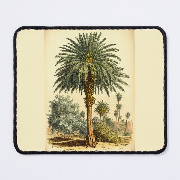 Item preview, Date Palm Tree in Desert Sand designed and sold by Printriff.