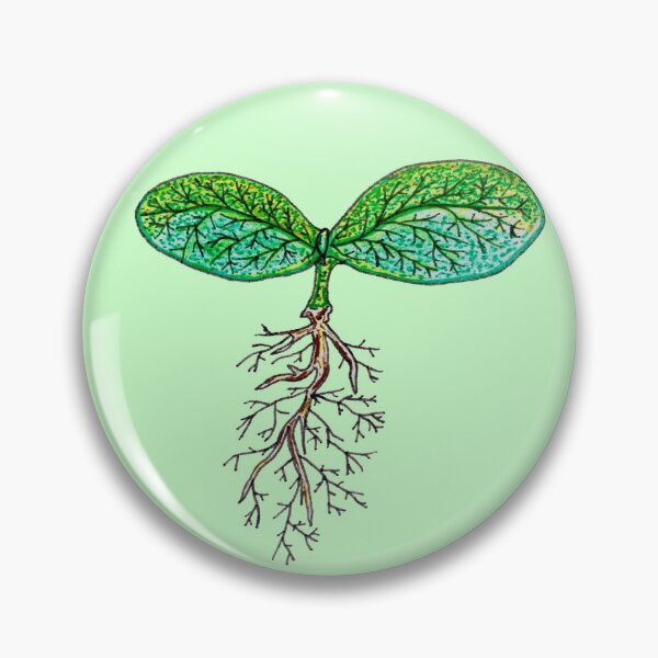 Item preview, Pumpkin Seedling designed and sold by OceanaOrlaghArt.