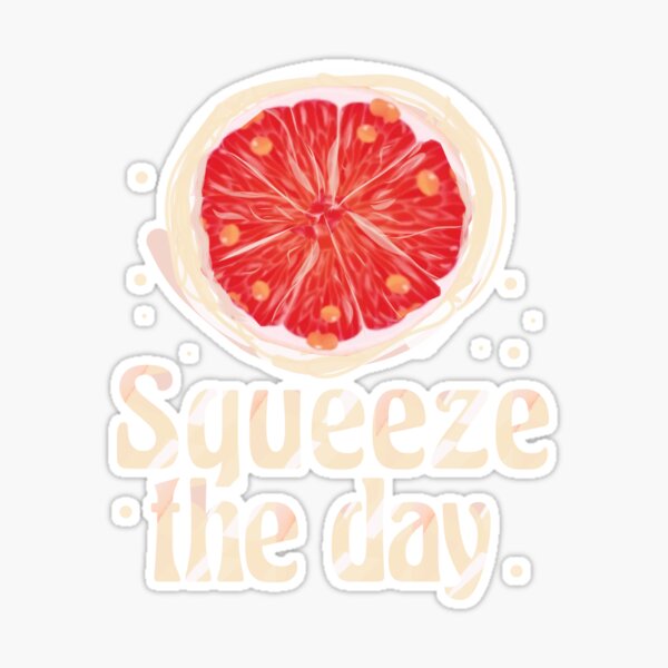 Stickers Northwest - Lemonade Pitcher, Squeeze the Day Sticker