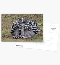 Life is better with friends! Postcards