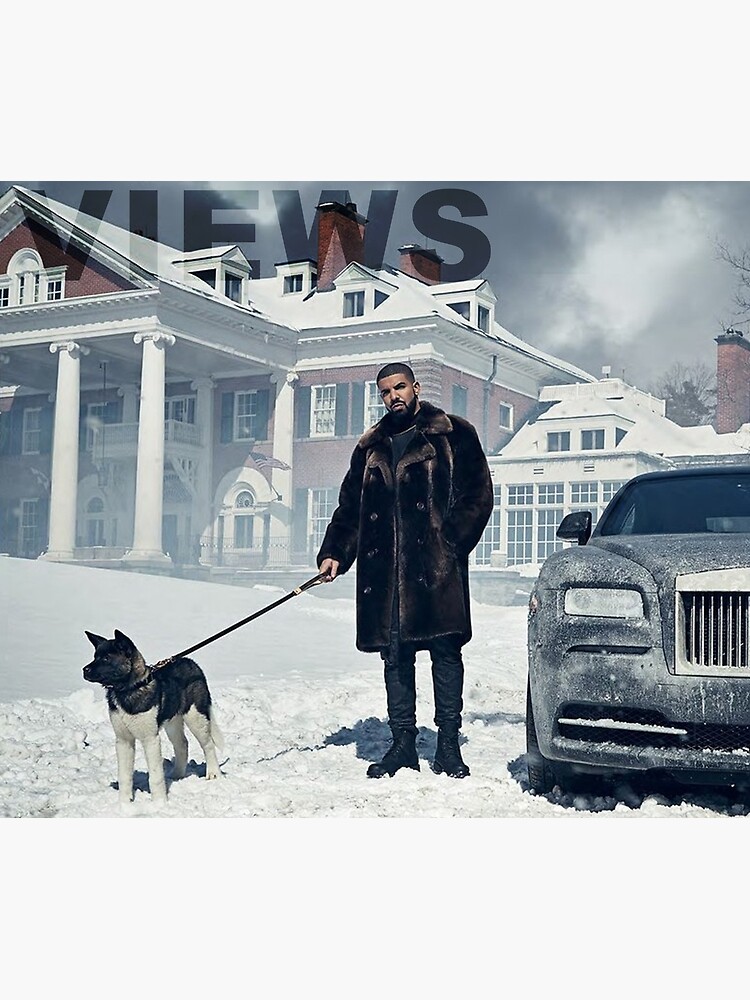 Drake with Dog Views Tapestry by livpaigedesigns